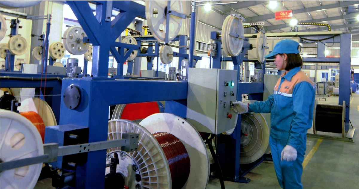 Dự án: 1101/M3-TECOTEC/2020